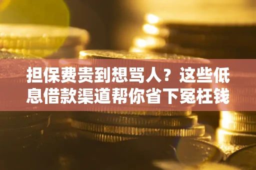 北京担保费贵到想骂人？这些低息借款渠道帮你省下冤枉钱