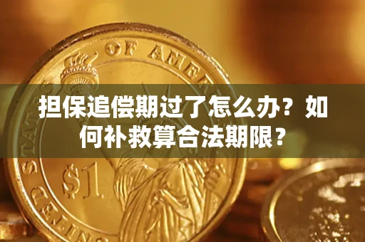 北京担保追偿期过了怎么办？如何补救算合法期限？
