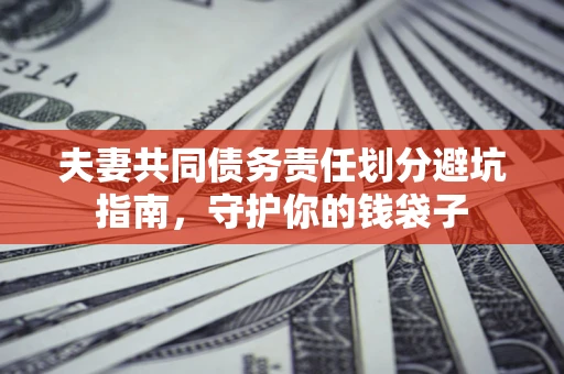 北京夫妻共同债务责任划分避坑指南，守护你的钱袋子