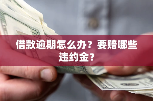 北京借款逾期怎么办？要赔哪些违约金？